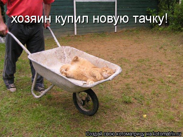 Котоматрица: хозяин купил новую тачку!