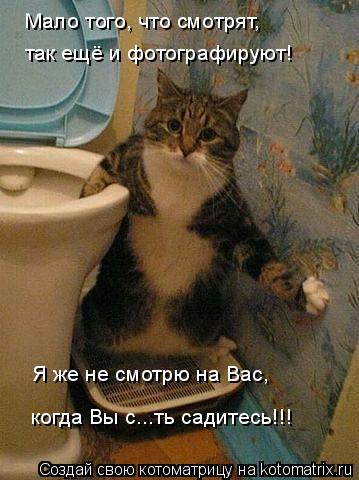 Котоматрица: Мало того, что смотрят, так ещё и фотографируют! Я же не смотрю на Вас,  когда Вы с...ть садитесь!!!