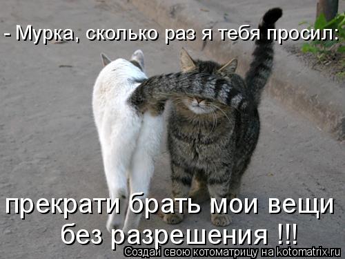 - Мурка, сколько раз я тебя просил: без разрешения !!! прекрати брать мои вещи... Котоматрица: - Мурка, сколько раз я тебя просил: без разрешения !!! прекрати брать мои вещи