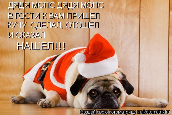 Котоматрица: В ГОСТИ К ВАМ ПРИШЕЛ КУЧУ  СДЕЛАЛ, ОТОШЕЛ И СКАЗАЛ ДЯДЯ МОПС ДЯДЯ МОПС НАШЕЛ!!!
