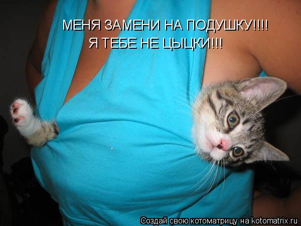 Котоматрица: МЕНЯ ЗАМЕНИ НА ПОДУШКУ!!!! Я ТЕБЕ НЕ ЦЫЦКИ!!!