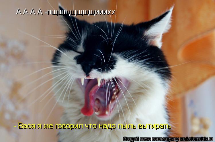 Котоматрица: А А А А -пщщщщщщщииихх  - Вася я же говорил что надо пыль вытирать
