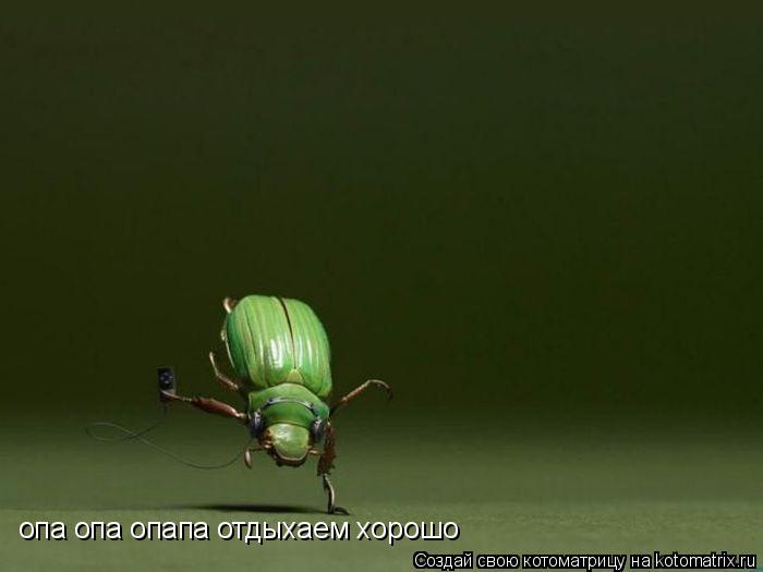 Котоматрица: опа опа опапа отдыхаем хорошо