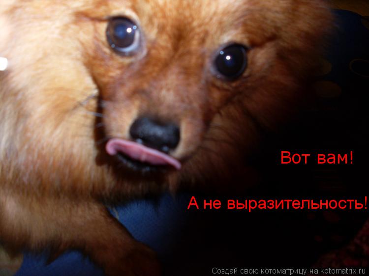 Котоматрица: Вот вам! А не выразительность!