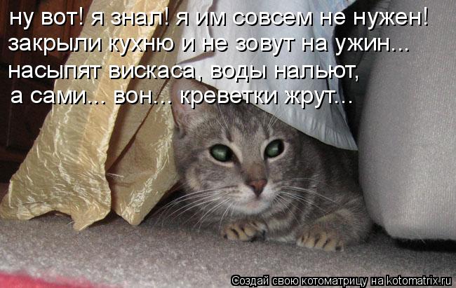 ну вот! я знал! я им совсем не нужен! закрыли кухню и не зовут на ужин... насыпят вискаса, воды налью... Котоматрица: ну вот! я знал! я им совсем не нужен! закрыли кухню и не зовут на ужин... насыпят вискаса, воды нальют, а сами... вон... креветки жрут...