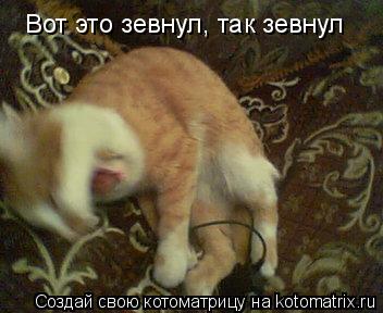 Котоматрица: Вот это зевнул, так зевнул