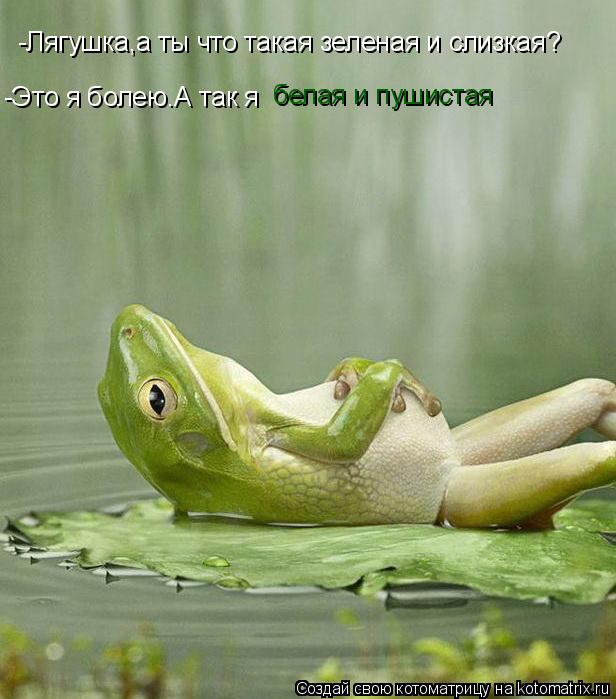 Котоматрица: -Лягушка,а ты что такая зеленая и слизкая? белая и пушистая -Это я болею.А так я