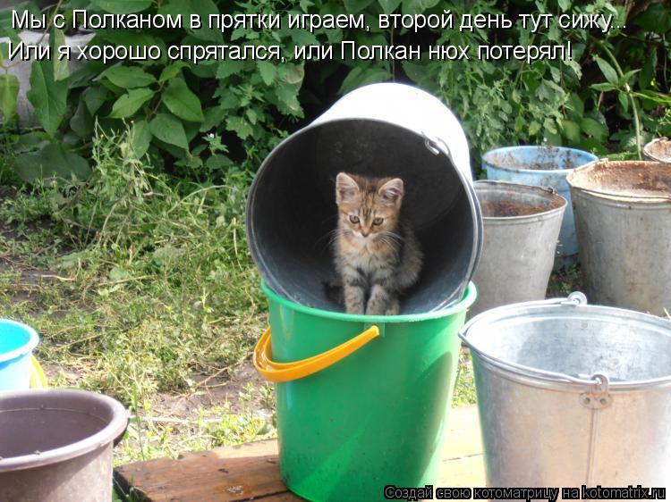 Мы с Полканом в прятки играем, второй день тут сижу... Или я хорошо спрятался, или Полкан нюх потерял... Котоматрица: Мы с Полканом в прятки играем, второй день тут сижу... Или я хорошо спрятался, или Полкан нюх потерял!