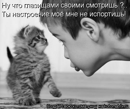 Котоматрица: Ну что глазищами своими смотришь ?.. Ты настроение моё мне не испортишь!