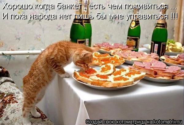 Котоматрица: Хорошо когда банкет , есть чем поживиться ... И пока народа нет лишь бы мне управиться !!!