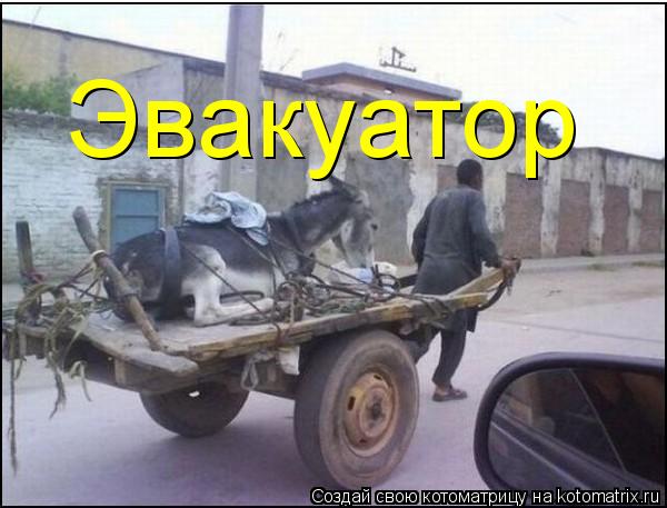 Котоматрица: Эвакуатор