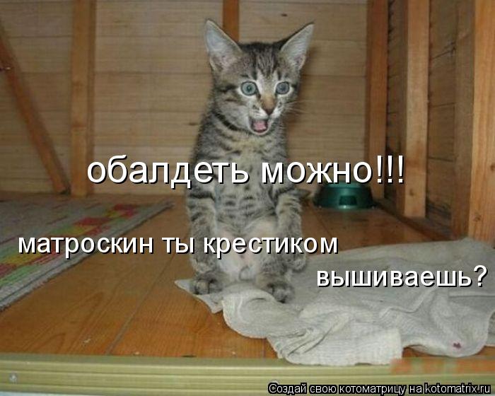 Котоматрица: матроскин ты крестиком вышиваешь? обалдеть можно!!!