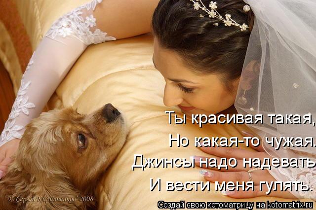Ты красивая такая, Но какая-то чужая. Джинсы надо надевать И вести меня гулять.... Котоматрица: Ты красивая такая, Но какая-то чужая. Джинсы надо надевать И вести меня гулять.
