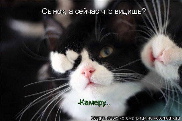 -Сынок, а сейчас что видишь? -Камеру...... Котоматрица: -Сынок, а сейчас что видишь? -Камеру...