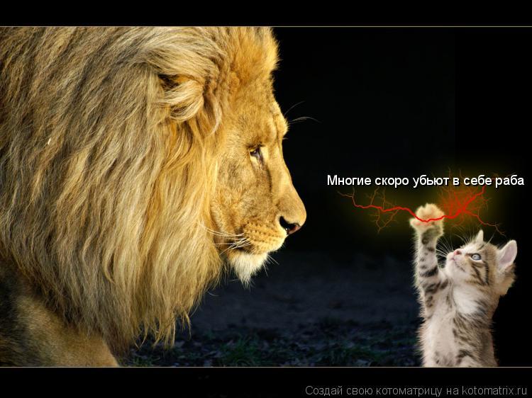 Многие скоро убьют в себе раба... Котоматрица: Многие скоро убьют в себе раба