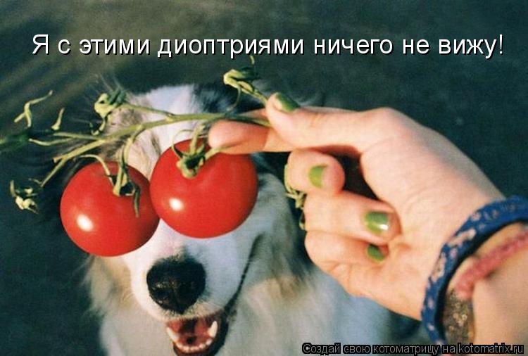 Я с этими диоптриями ничего не вижу!... Котоматрица: Я с этими диоптриями ничего не вижу!