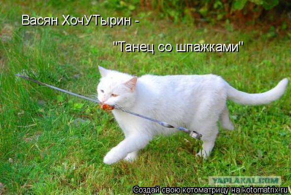 Васян ХочУТырин - "Танец со шпажками"... Котоматрица: Васян ХочУТырин - "Танец со шпажками"