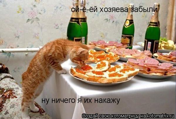 ой-ё-ёй хозяева забыли ну ничего я их накажу... Котоматрица: ой-ё-ёй хозяева забыли ну ничего я их накажу