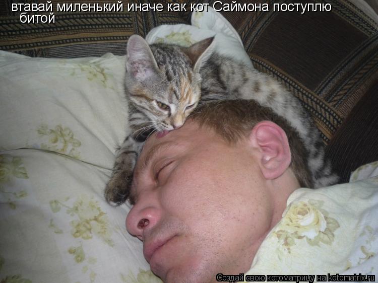 Котоматрица: втавай миленький иначе как кот Саймона поступлю битой