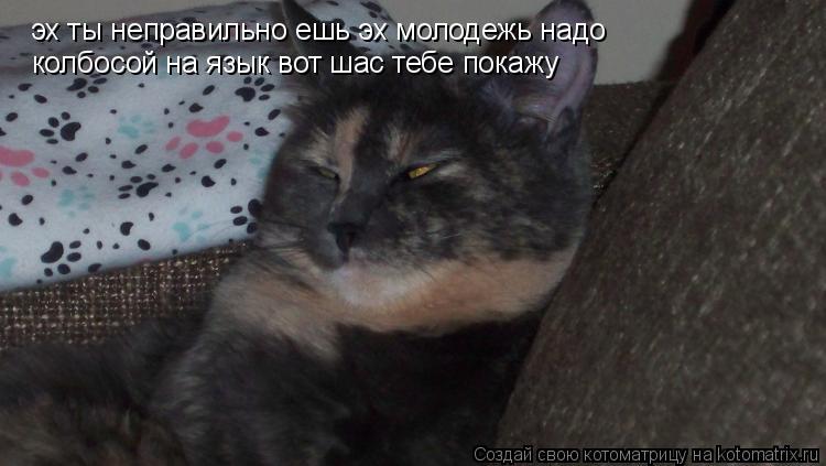 Котоматрица: эх ты неправильно ешь эх молодежь надо   колбосой на язык вот шас тебе покажу