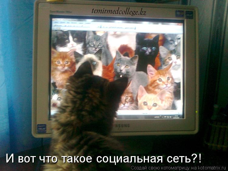 Котоматрица: И вот что такое социальная сеть?!