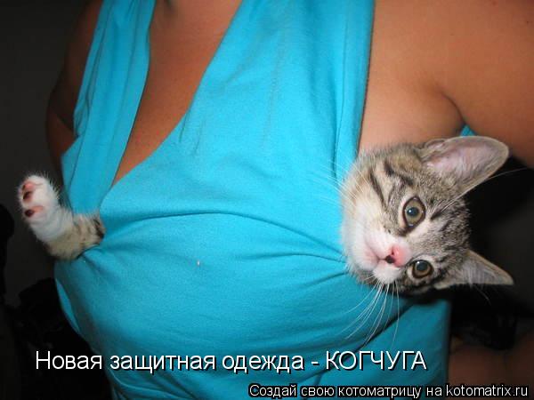 Котоматрица: Новая защитная одежда - КОГЧУГА