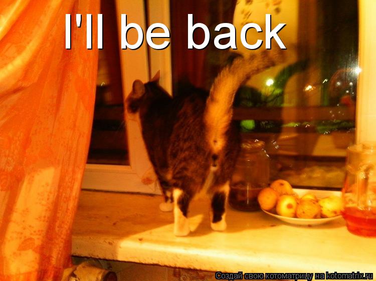 Котоматрица: I'll be back