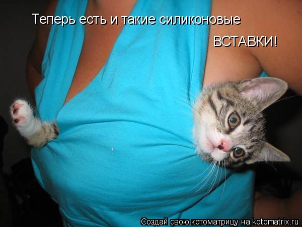 Котоматрица: Теперь есть и такие силиконовые  ВСТАВКИ!
