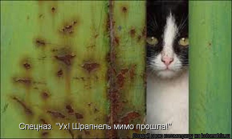 Котоматрица: Спецназ. "Ух! Шрапнель мимо прошла!"