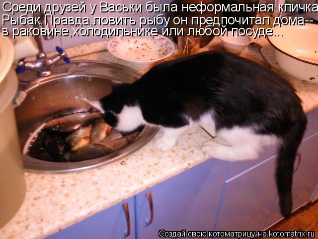 Котоматрица: Среди друзей у Васьки была неформальная кличка Рыбак.Правда,ловить рыбу он предпочитал дома-- в раковине,холодильнике или любой посуде...
