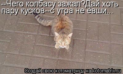 Котоматрица: --Чего колбасу зажал?Дай хоть пару кусков--с утра не евши...