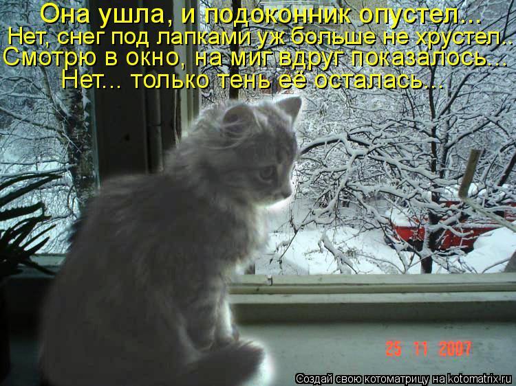 Котоматрица: Она ушла, и подоконник опустел... Нет, снег под лапками уж больше не хрустел... Смотрю в окно, на миг вдруг показалось... Нет... только тень её ост