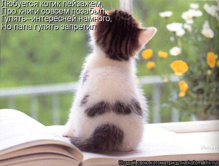 Котоматрица: Любуется котик пейзажем, Про книги совсем позабыл, Гулять--интересней намного, Но папа гулять запретил.
