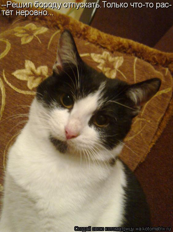 Котоматрица: --Решил бороду отпускать.Только что-то рас- тёт неровно...