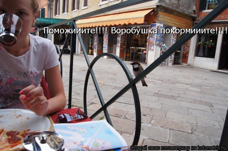 Котоматрица: Поможииите!!!! Воробушка покормииите!!!!