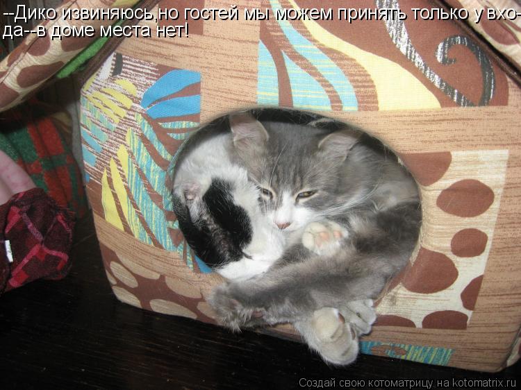 Котоматрица: --Дико извиняюсь,но гостей мы можем принять только у вхо- да--в доме места нет!