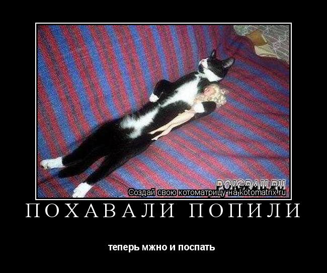 Котоматрица: Похавали Попили теперь мжно и поспать 