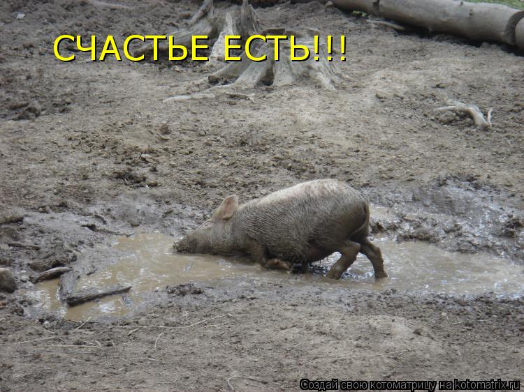 Котоматрица: СЧАСТЬЕ ЕСТЬ!!!