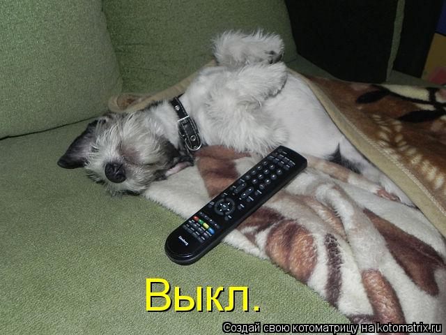 Котоматрица: Выкл.