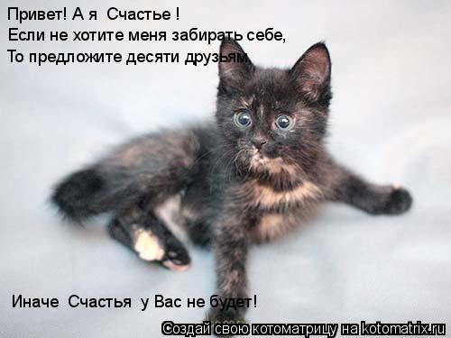 Котоматрица: Привет! А я «Счастье»! Если не хотите меня забирать себе, То предложите десяти друзьям, Иначе «Счастья» у Вас не будет!