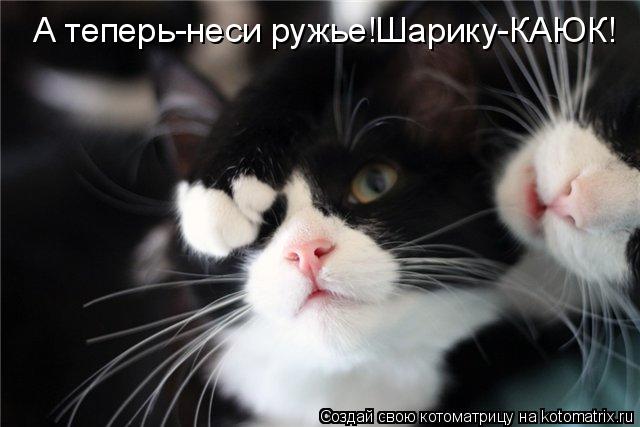 Котоматрица: А теперь-неси ружье!Шарику-КАЮК!