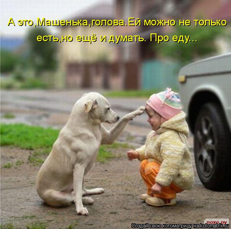 А это,Машенька,голова.Ей можно не только есть,но ещё и думать. Про еду...... Котоматрица: А это,Машенька,голова.Ей можно не только есть,но ещё и думать. Про еду...