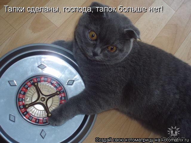 Тапки сделаны, господа, тапок больше нет!... Котоматрица: Тапки сделаны, господа, тапок больше нет!