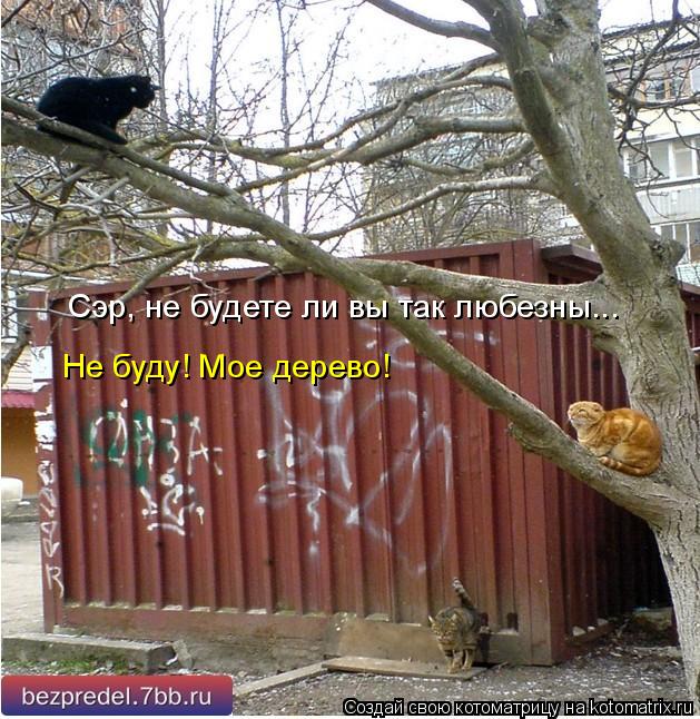 Сэр, не будете ли вы так любезны... Не буду! Мое дерево!... Котоматрица: Сэр, не будете ли вы так любезны... Не буду! Мое дерево!