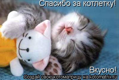Котоматрица: Спасибо за котлетку! Вкусно!