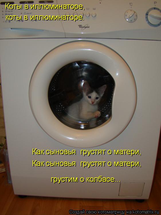 Коты в иллюминаторе, коты в иллюминаторе. Как сыновья грустят о матери, Как сыновья грустят о матер... Котоматрица: Коты в иллюминаторе, коты в иллюминаторе. Как сыновья грустят о матери, Как сыновья грустят о матери, грустим о колбасе...