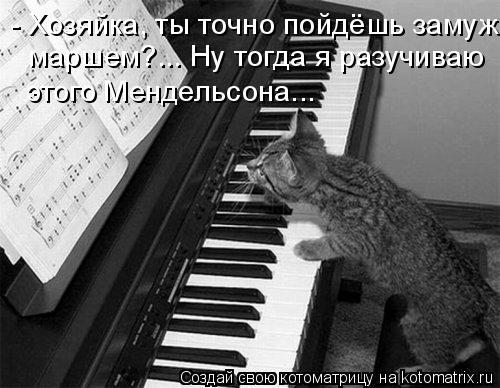 - Хозяйка, ты точно пойдёшь замуж маршем?... Ну тогда я разучиваю этого Мендельсона...... Котоматрица: - Хозяйка, ты точно пойдёшь замуж маршем?... Ну тогда я разучиваю этого Мендельсона...