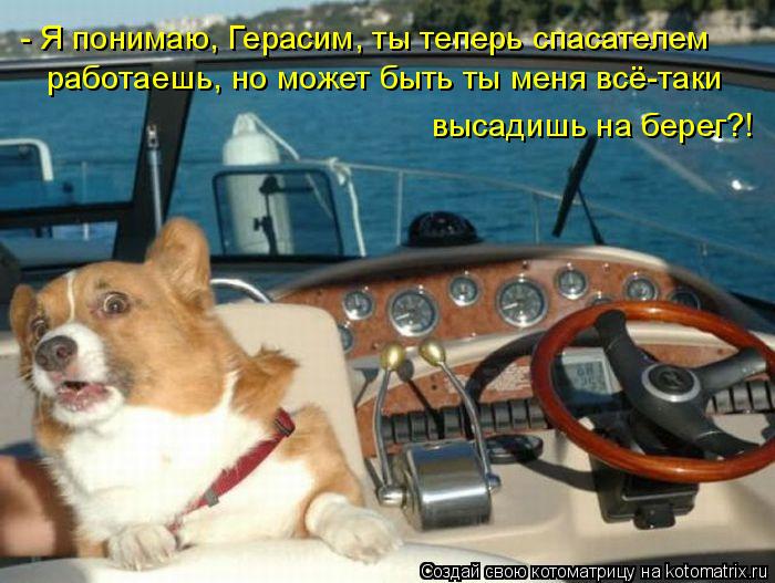 - Я понимаю, Герасим, ты теперь спасателем работаешь, но может быть ты меня всё-таки высадишь на бер... Котоматрица: - Я понимаю, Герасим, ты теперь спасателем работаешь, но может быть ты меня всё-таки высадишь на берег?!