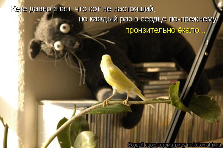 Кеке давно знал, что кот не настоящий, но каждый раз в сердце по-прежнему пронзительно ёкало...... Котоматрица: Кеке давно знал, что кот не настоящий, но каждый раз в сердце по-прежнему пронзительно ёкало...
