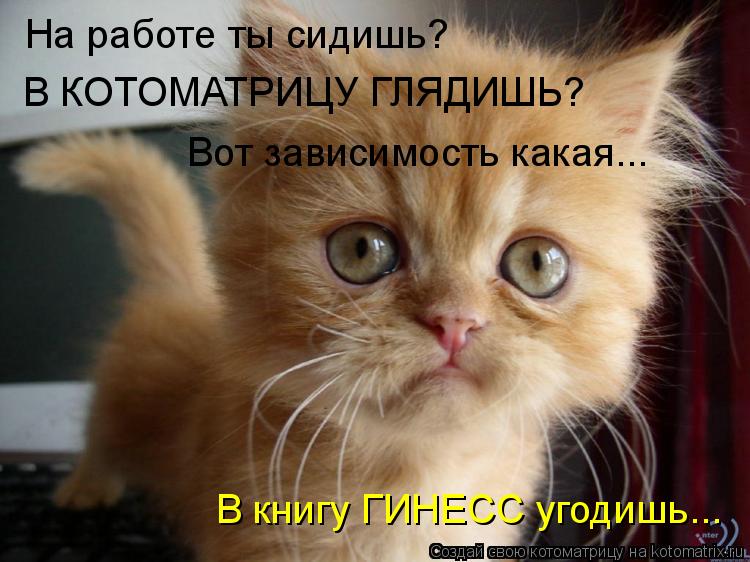 На работе ты сидишь? В КОТОМАТРИЦУ ГЛЯДИШЬ? Вот зависимость какая... В книгу ГИНЕСС угодишь...... Котоматрица: На работе ты сидишь? В КОТОМАТРИЦУ ГЛЯДИШЬ? Вот зависимость какая... В книгу ГИНЕСС угодишь...